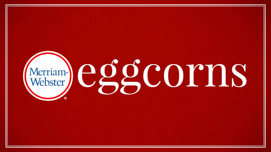 eggcorn-definition-meaning-merriam-webster